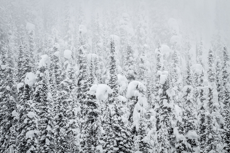 textures 5