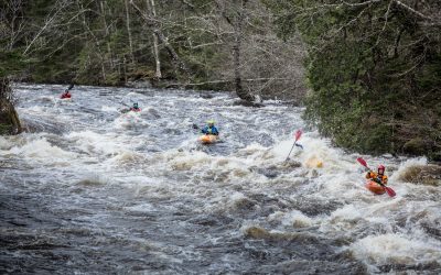 20140517_Neilson Race_0261